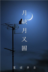 月缺月又圓小说封面