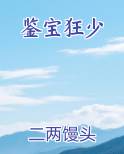 鉴宝狂少免费阅读无弹窗
