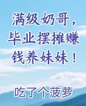 满级奶哥，毕业摆摊赚钱养妹妹！TXT小说
