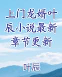 上门龙婿叶辰完整版免费收听