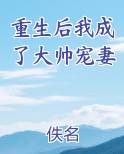 重生后我成了大帅宠妻陈瑾宁陈靖廷