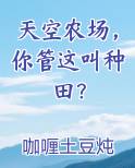 天空农场，你管这叫种田？推荐小说