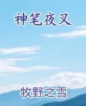 神笔夜叉排行榜
