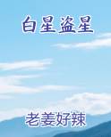 白星盗星在线阅读全文